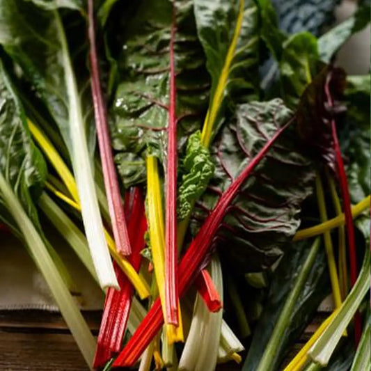 Bright Lights Swiss Chard Seeds - Rainbow Stems