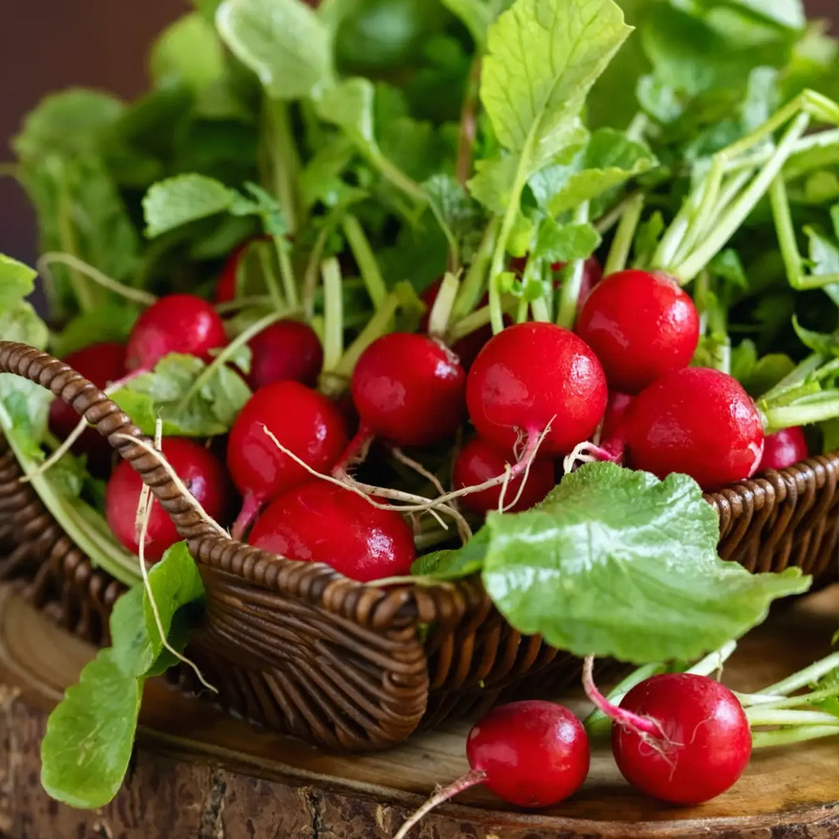 Cherry Radish Seeds