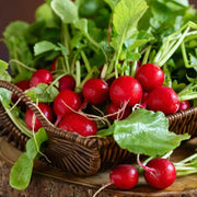 Cherry Radish Seeds