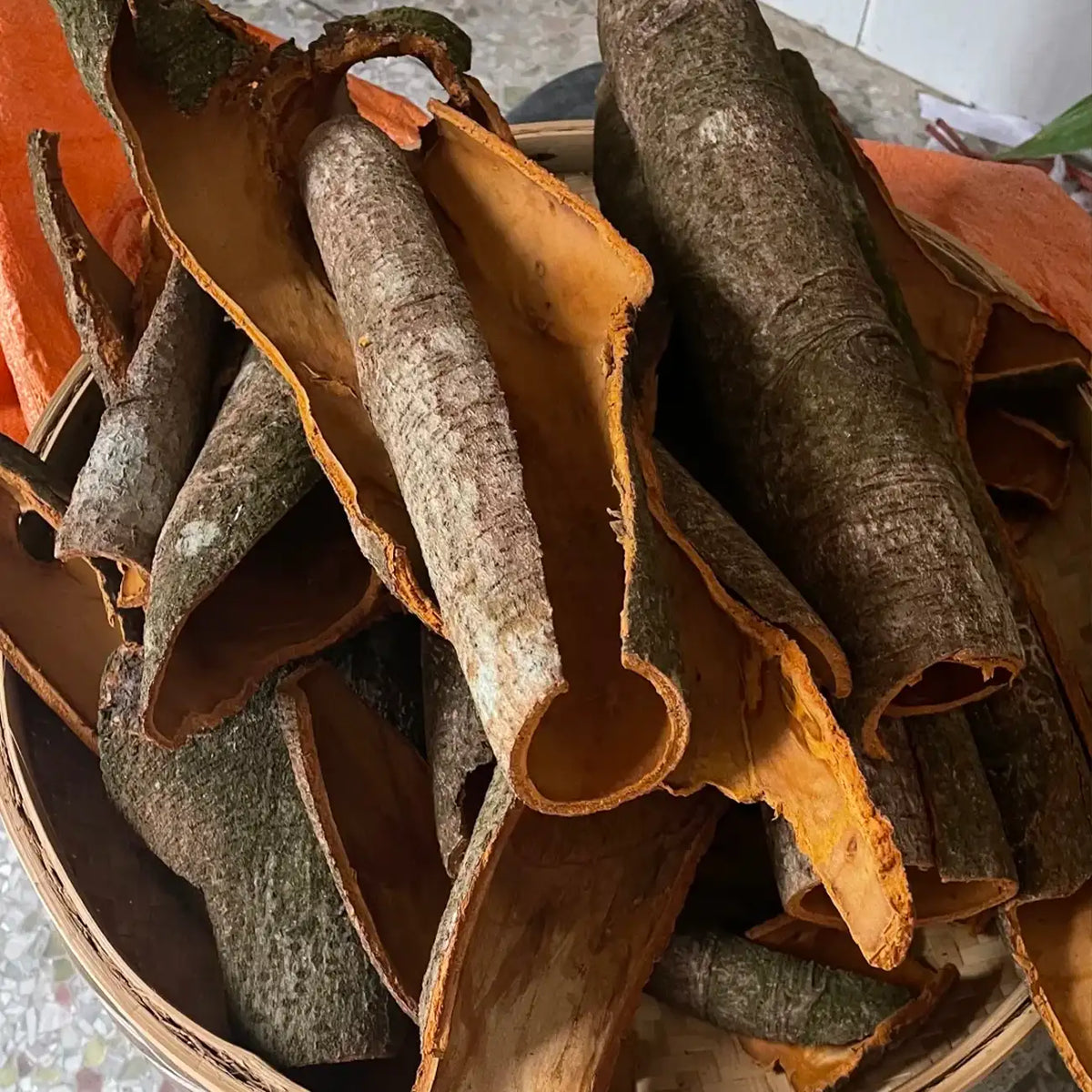 Cinnamon Treen Seeds