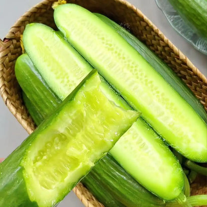 Cucumber Seeds, Mini, Party Time Hybrid