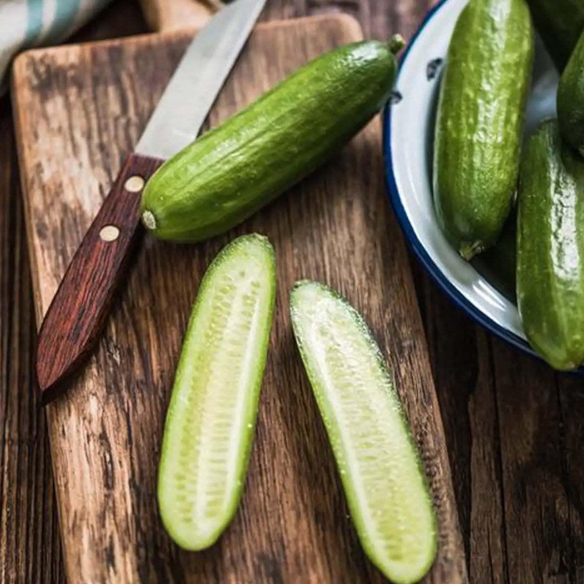 Cucumber Seeds, Mini, Party Time Hybrid