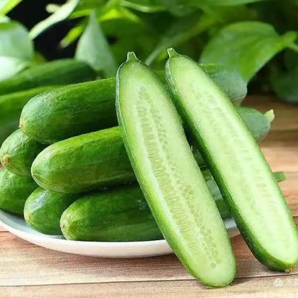 Cucumber Seeds, Mini, Party Time Hybrid