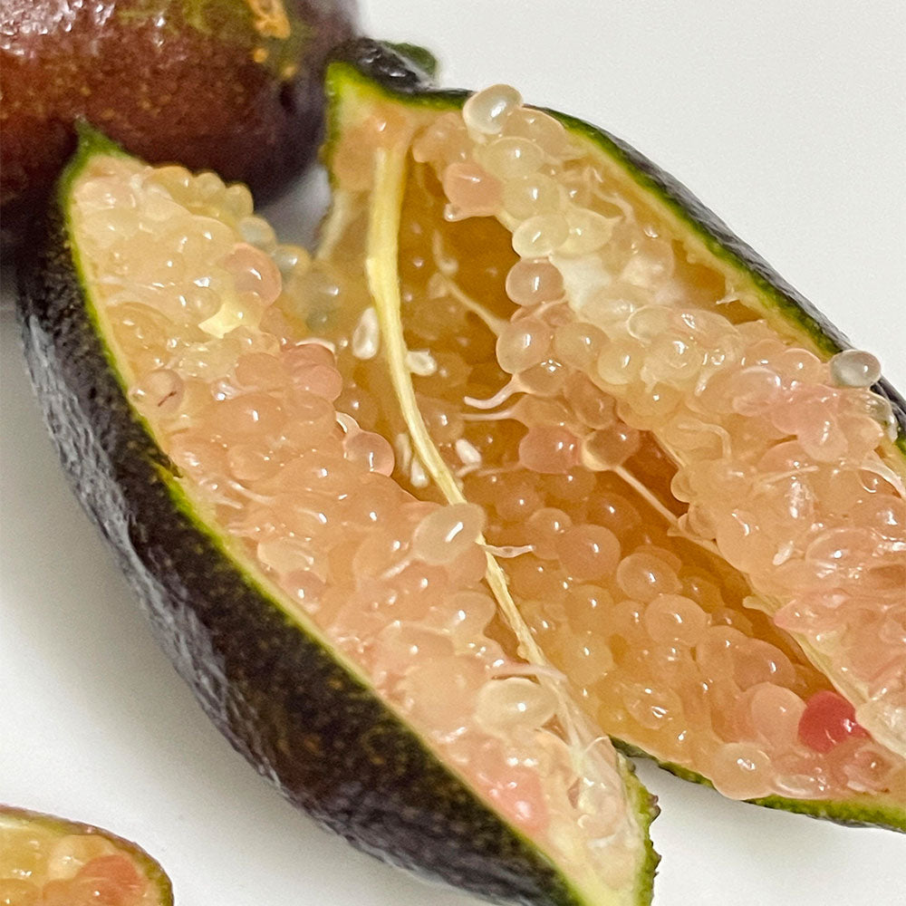 Finger Lime  Seeds