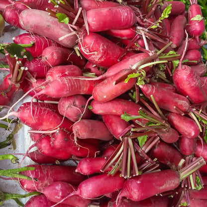 French Breakfast Radishes Seeds