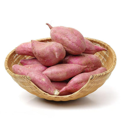 Sweet Potato Seeds