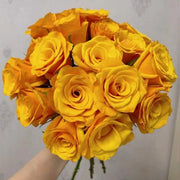 Glorious Rose Seeds