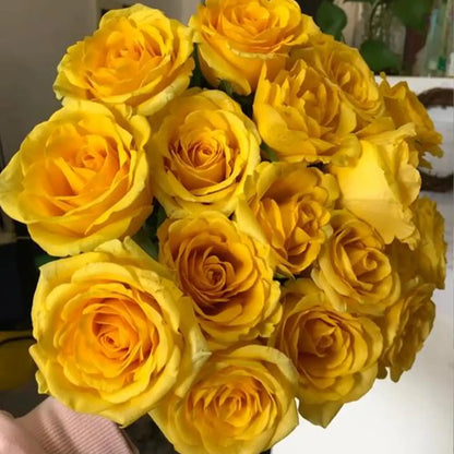 Golden Elegance Rose Seeds