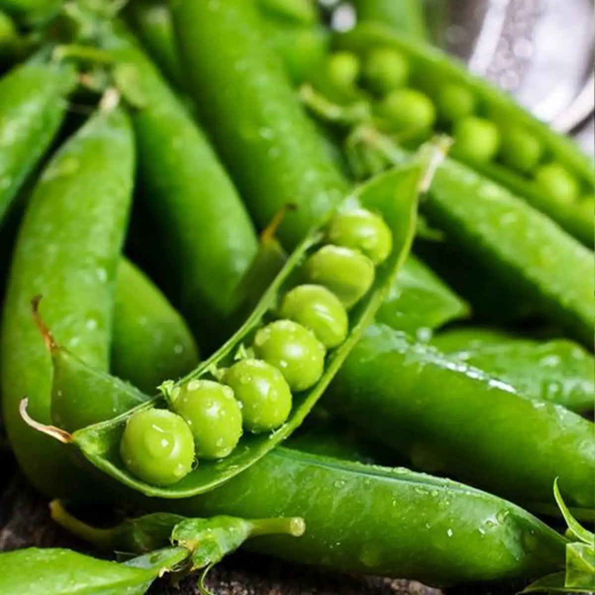 Green Arrow Pea Seeds