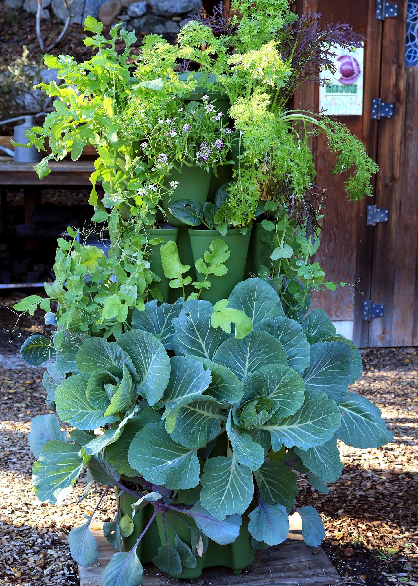Supplies Bed - GreenStalk 5-Tier Vertical Planter