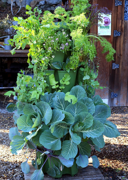 Supplies Bed - GreenStalk 5-Tier Vertical Planter