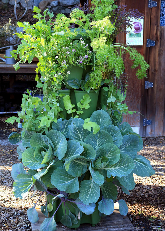 Supplies Bed - GreenStalk 5-Tier Vertical Planter