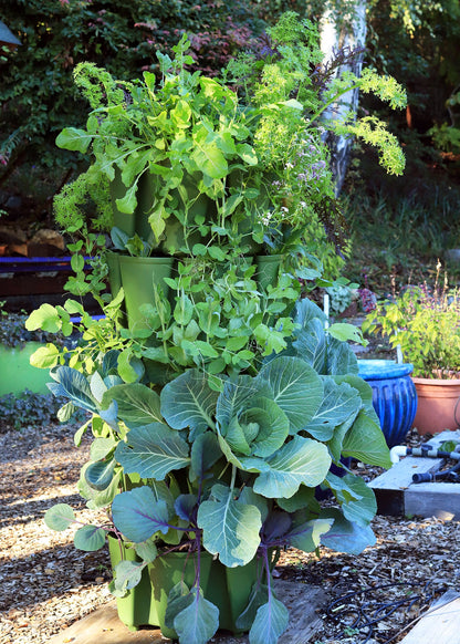 Supplies Bed - GreenStalk 5-Tier Vertical Planter