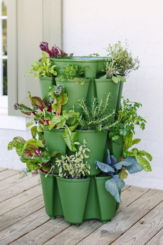 Supplies Bed - GreenStalk 3-Tier Vertical Planter