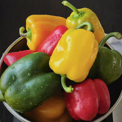 Sweet Bell Pepper Seeds