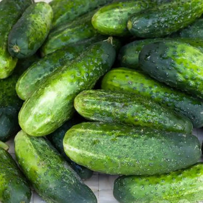 Homemade Pickles Cucumber Seeds