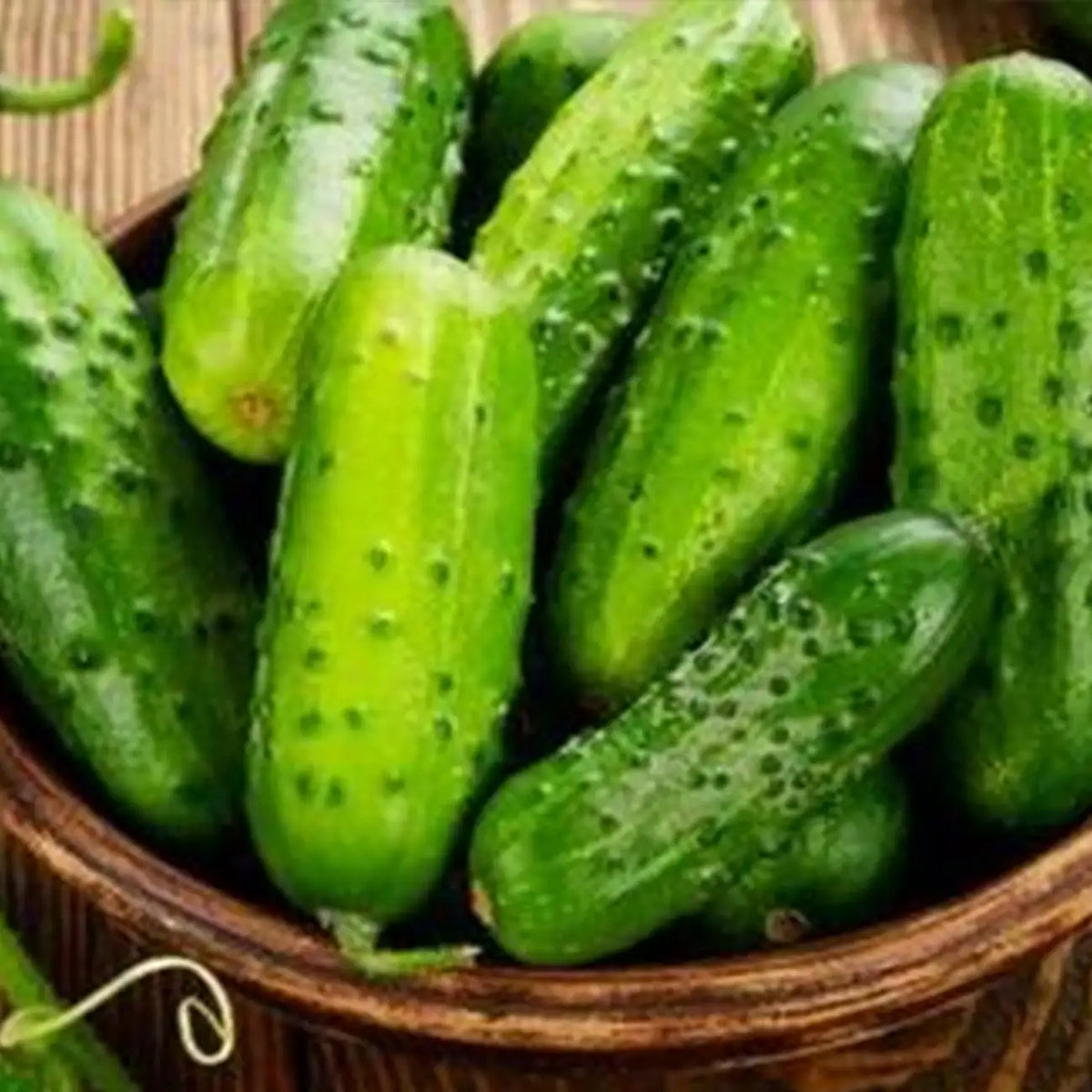 Homemade Pickles Cucumber Seeds