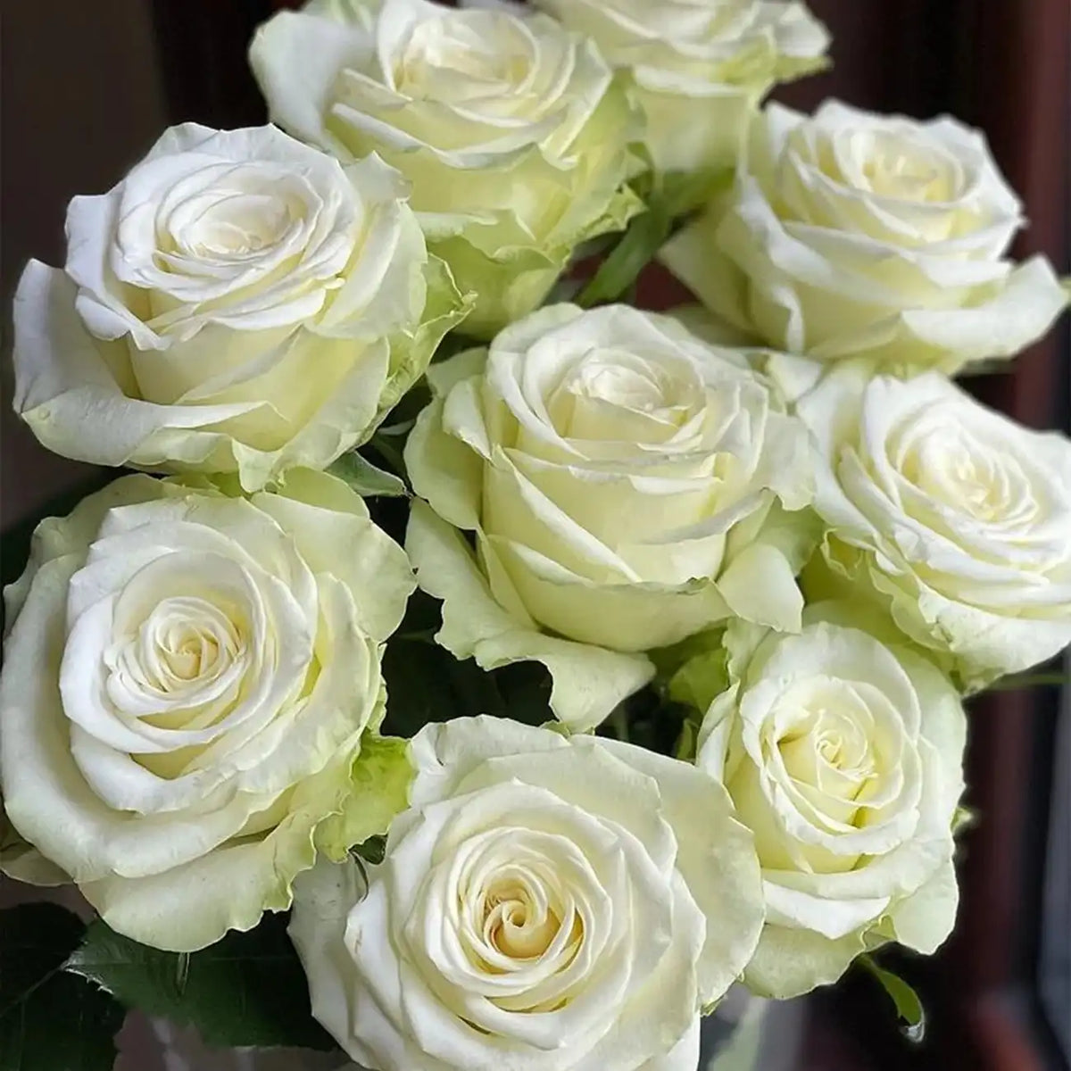 Jiangnan Rose Seeds