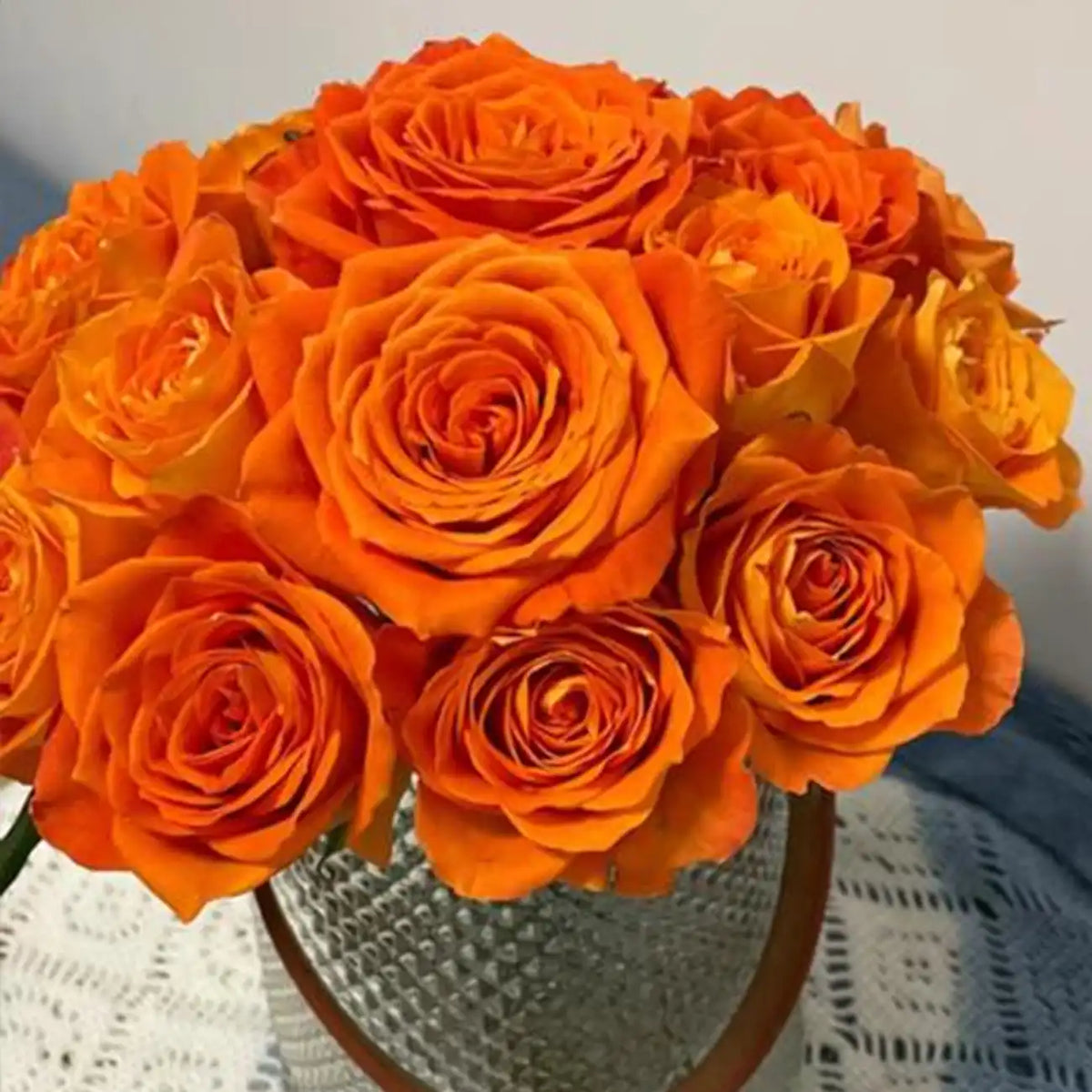 King Rose Seeds