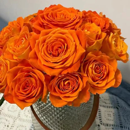 King Rose Seeds