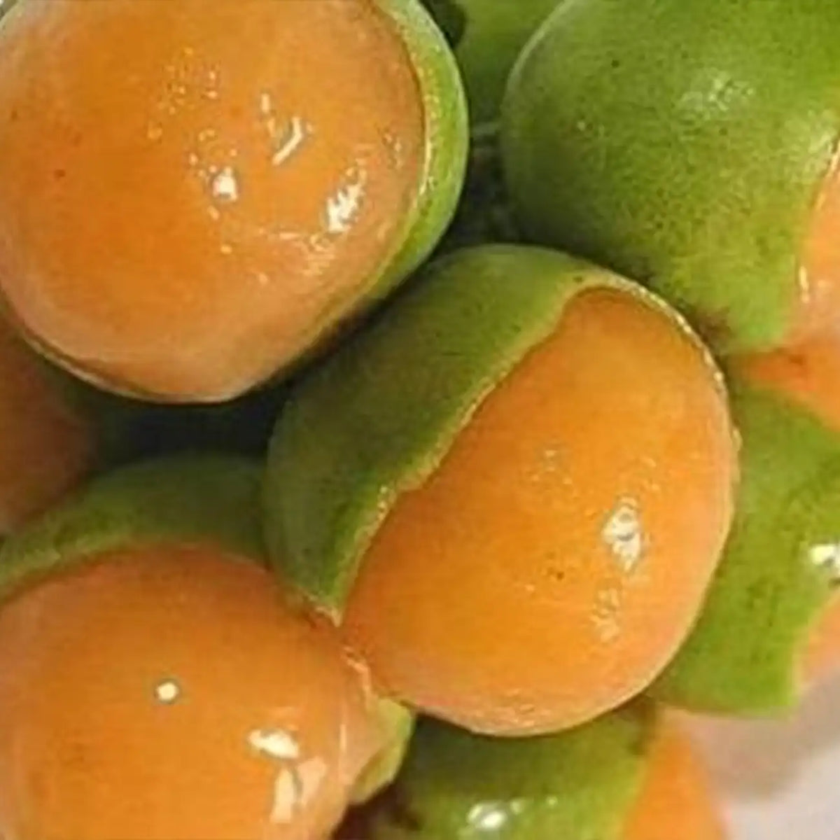 Lemon Sweet Spanish Lime Professional Pack, Green Skin Orange Inside Juicy Fruits
