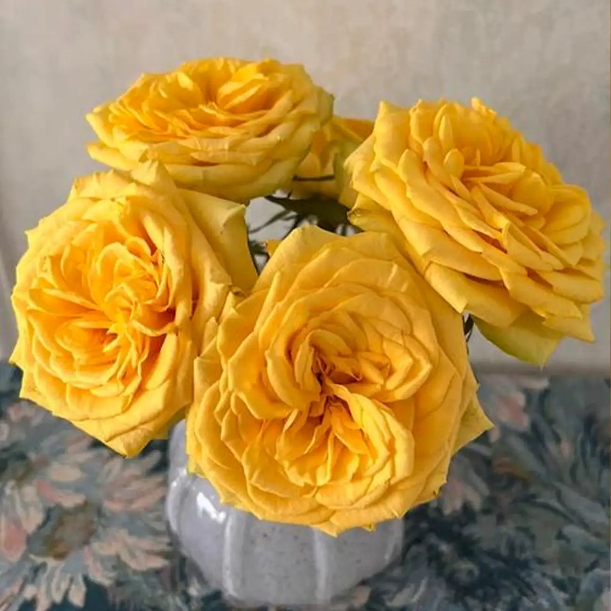 Moon Goddess Rose