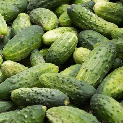 National Pickling Cucumber Seeds