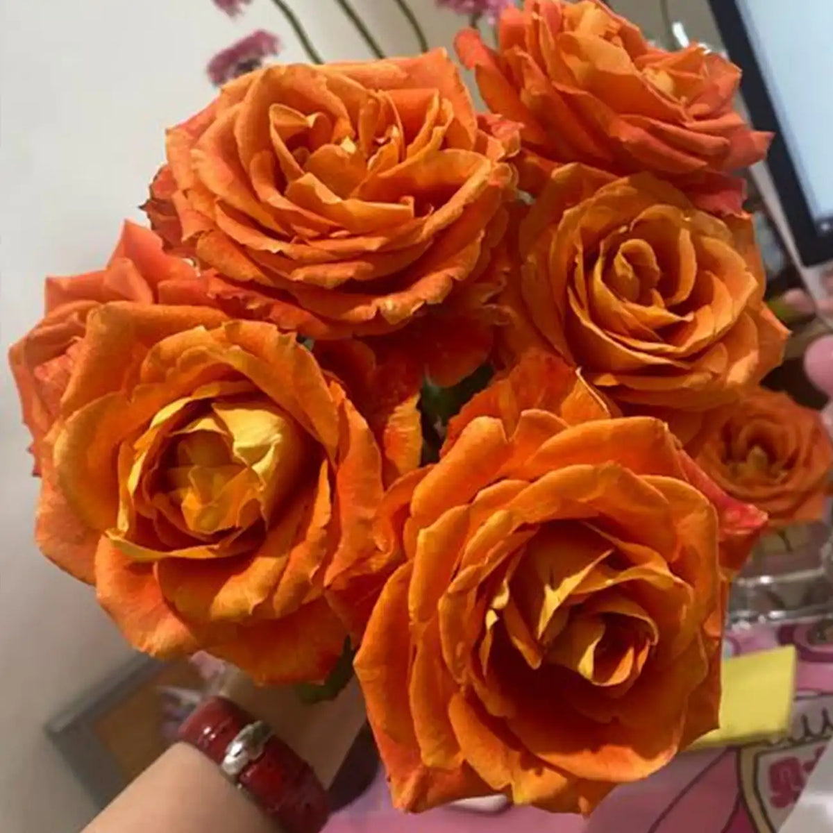 Ode to Joy Rose Seeds