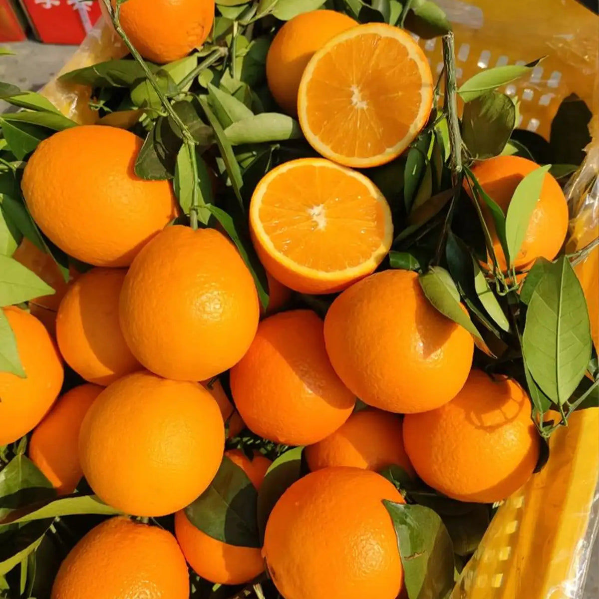Orange Seeds