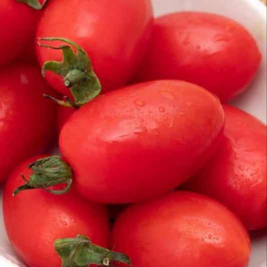 Organic Roma Tomato Seeds