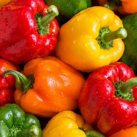 Park Seed Sweet Rainbow Mix PepperSeeds