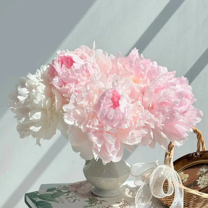 Peony 'Bedtime Whispers' Seeds