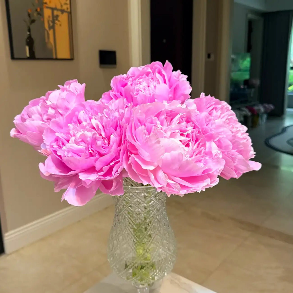Peony 'Dinner Plate' Seeds