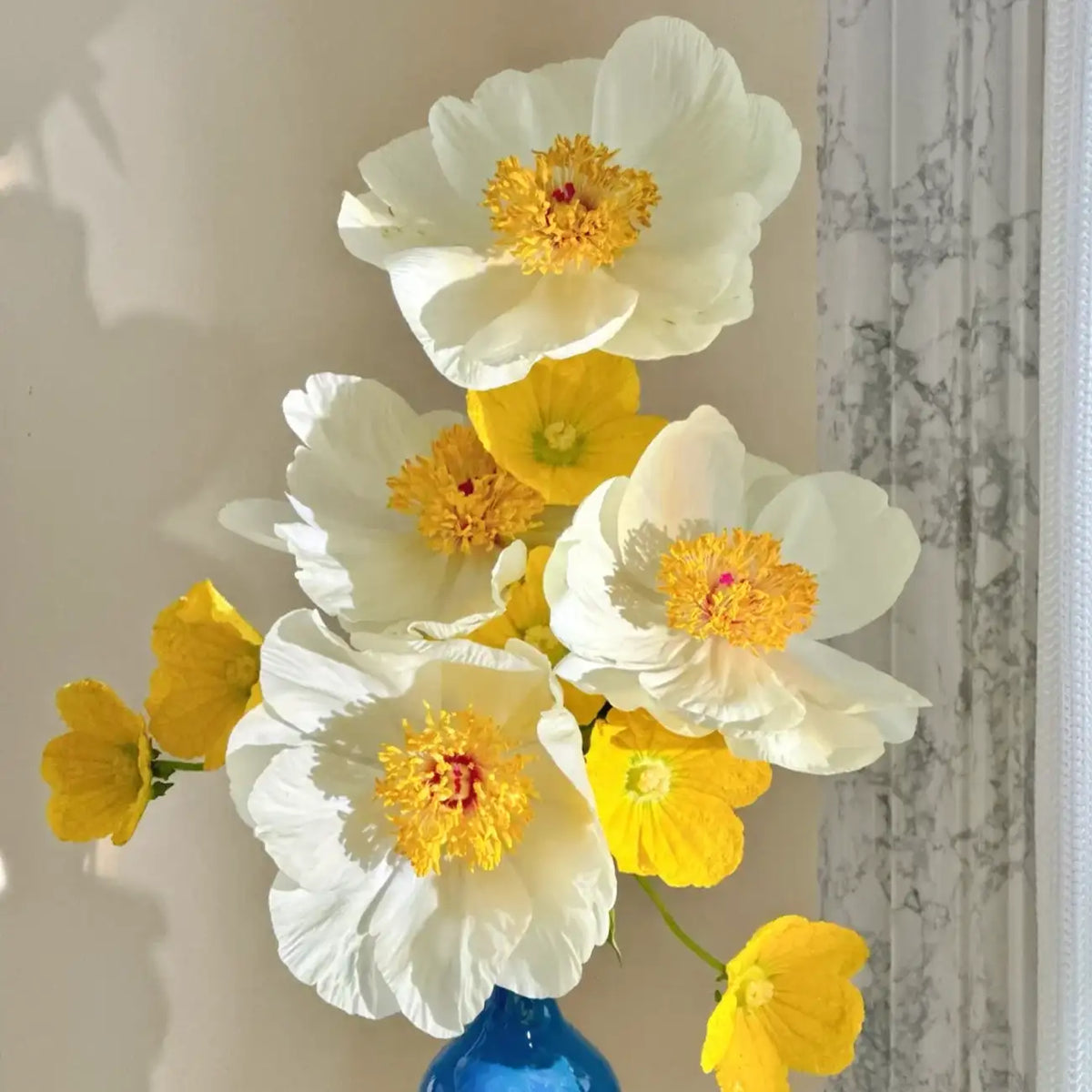 Peony 'Moon Sonata' Seeds