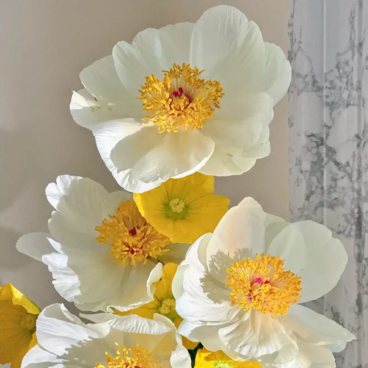 Peony 'Moon Sonata' Seeds
