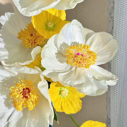 Peony 'Moon Sonata' Seeds