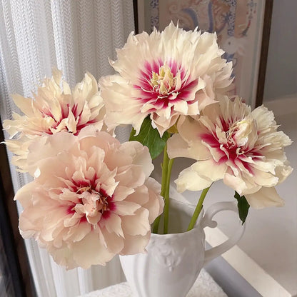 Peony 'Oochigeas' Seeds