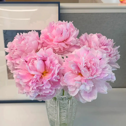 Peony 'Rene Housh' Seeds