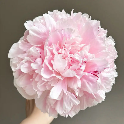 Peony 'Rene Housh' Seeds
