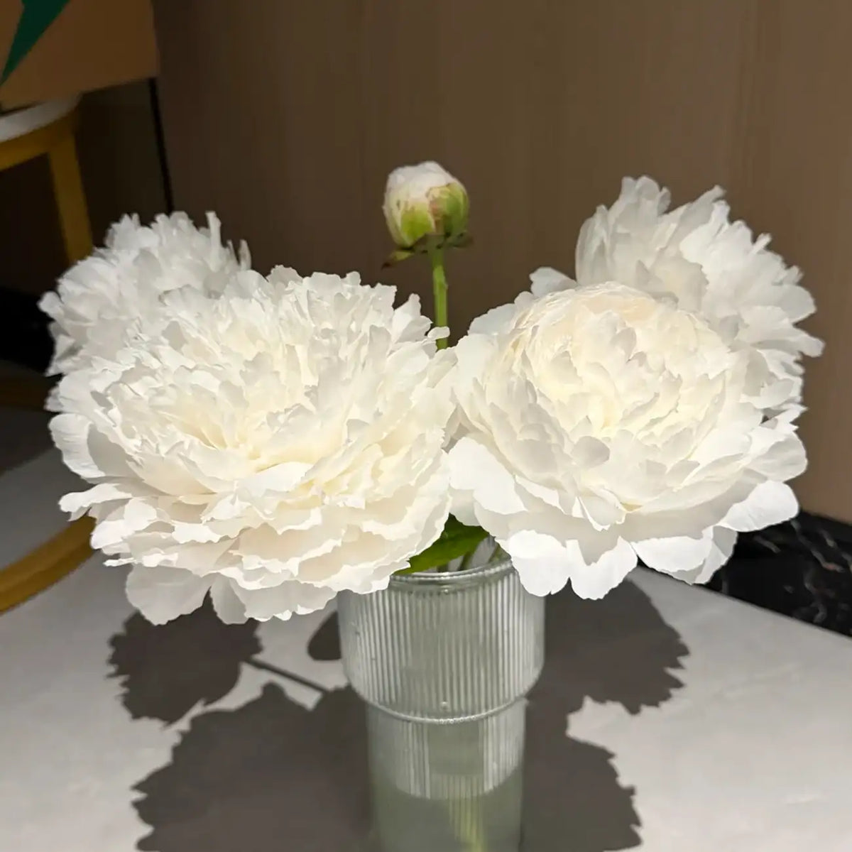 Peony 'Yang Fei Bathing' Seeds