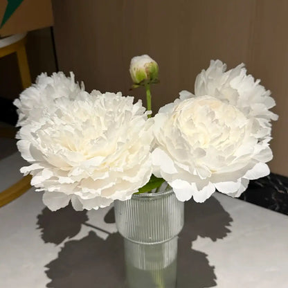 Peony 'Yang Fei Bathing' Seeds