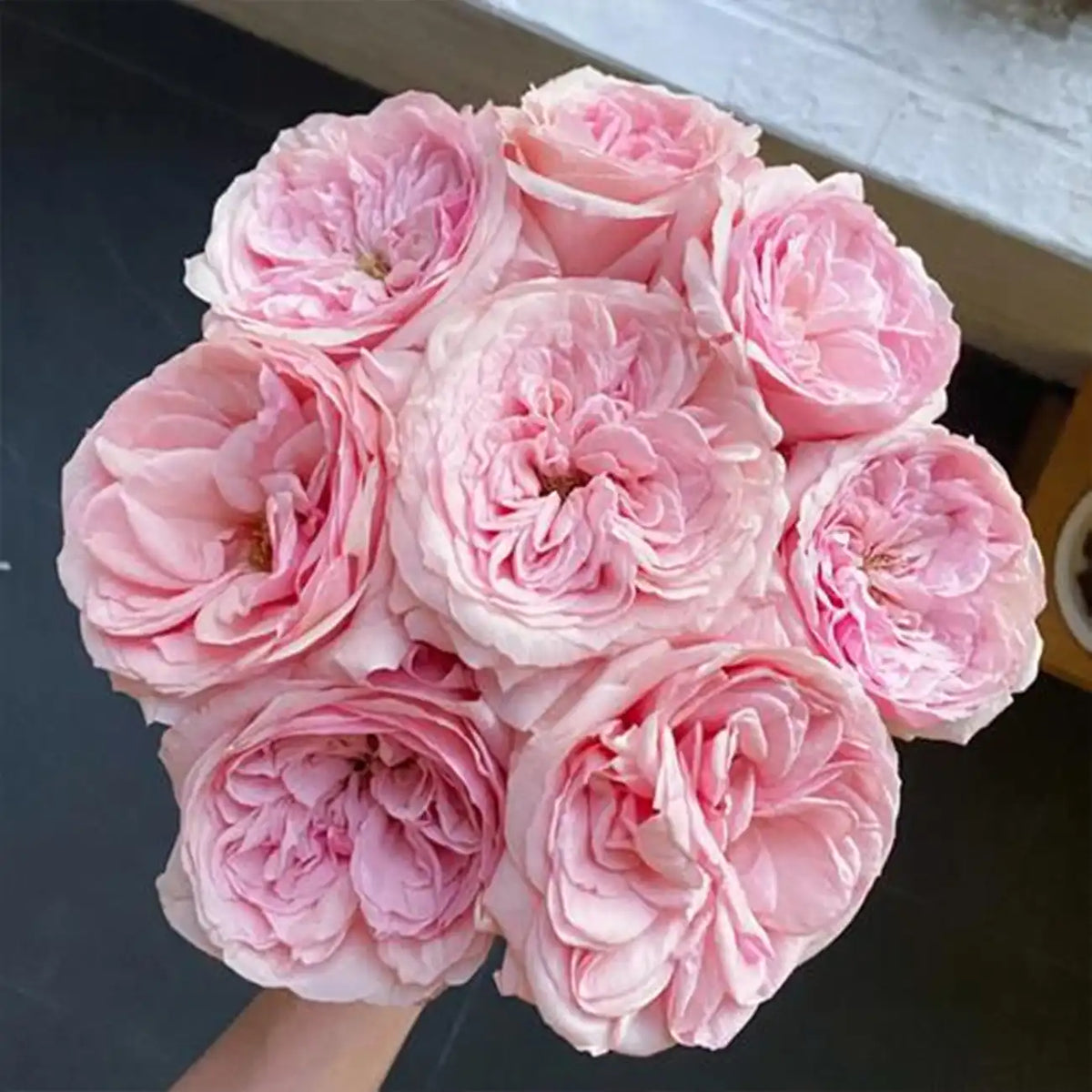 Pink Lychee Rose Seeds