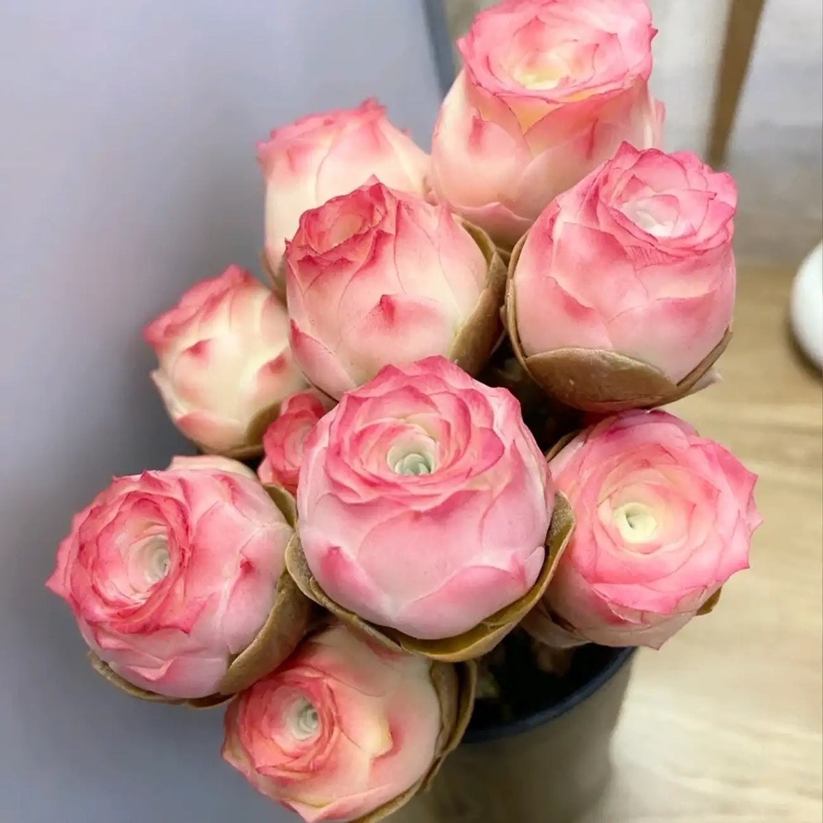 Pink Mountain Rose Succulent Seeds