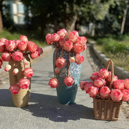 Pink Mountain Rose Succulent Seeds