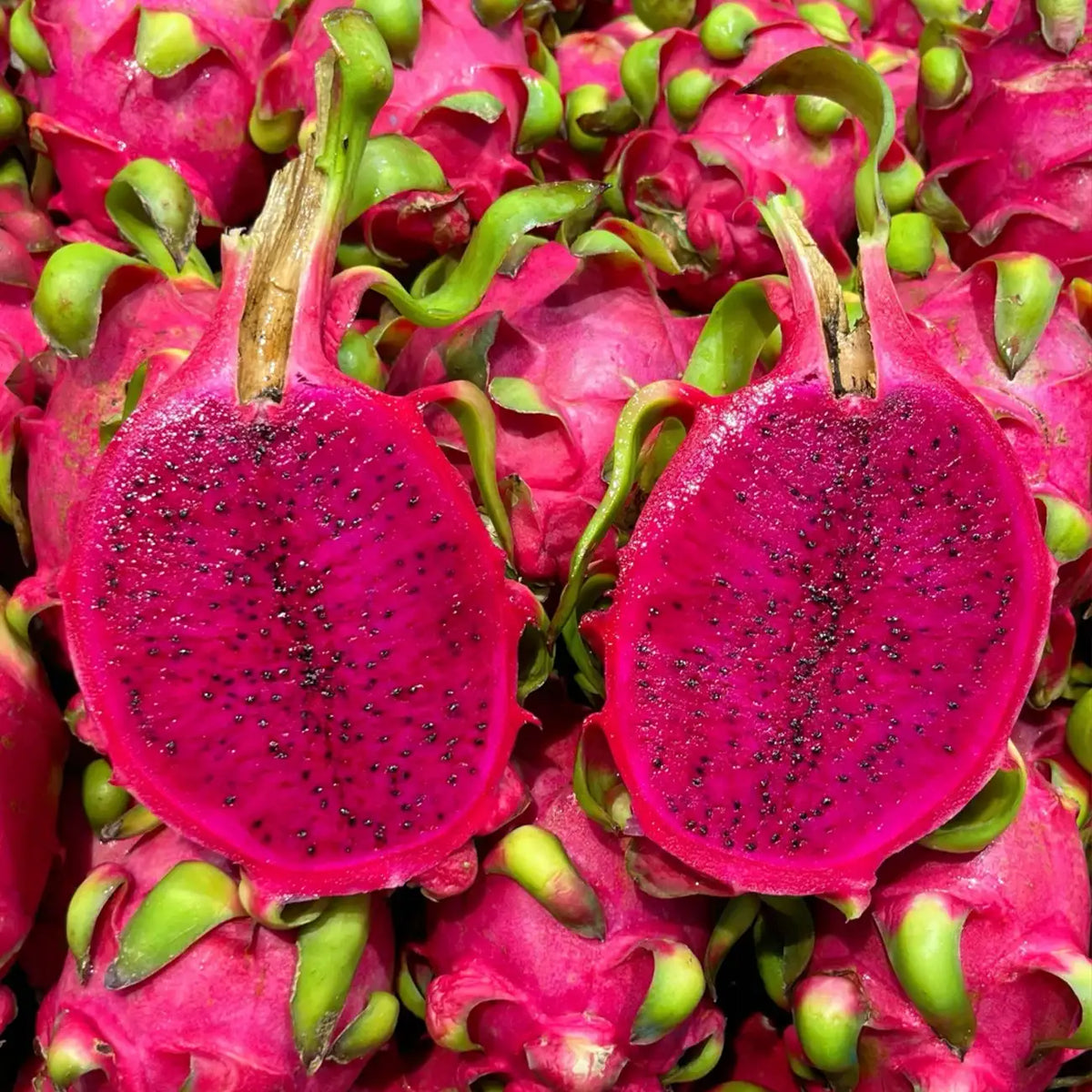 Pitaya (Dragon Fruit) Seeds