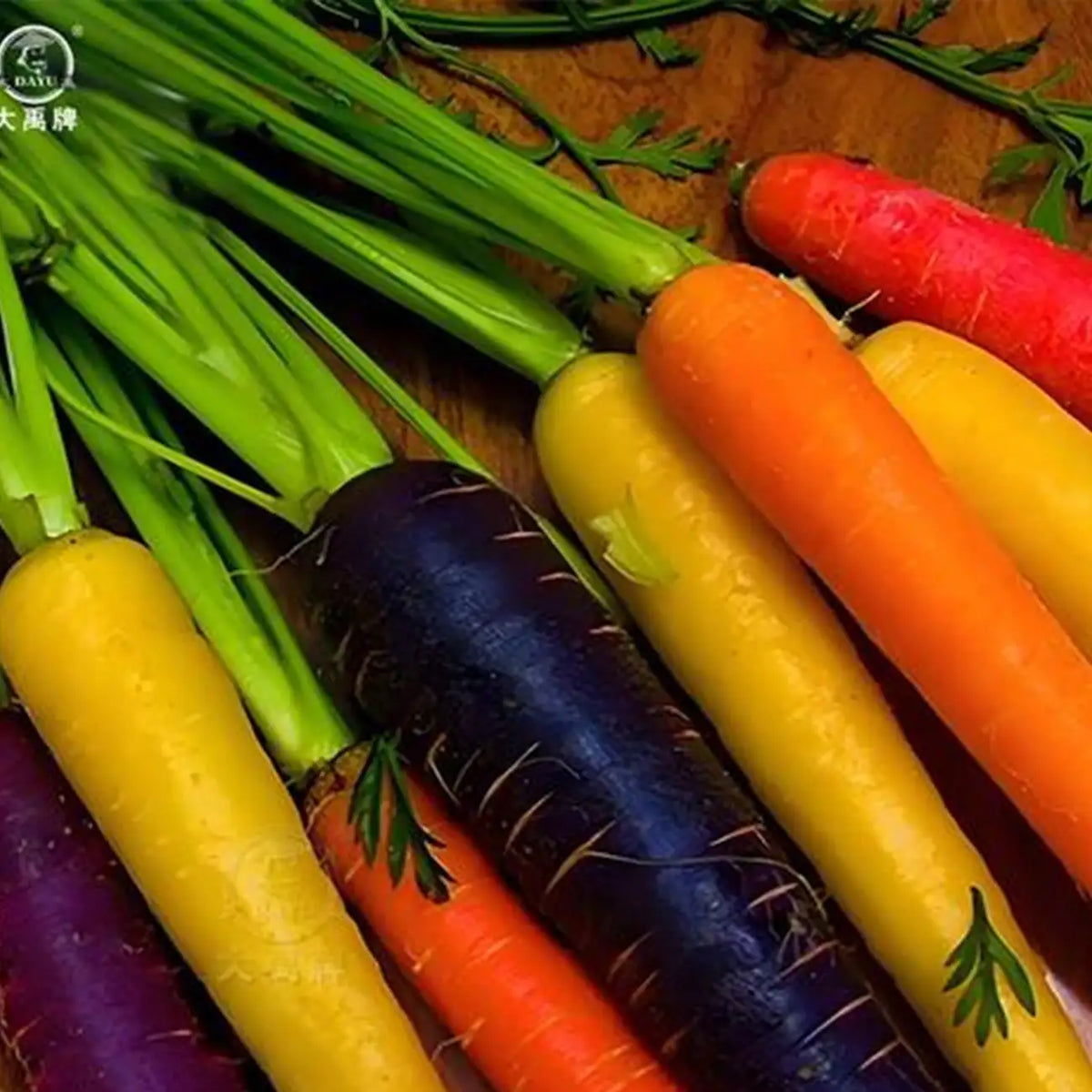 Rainbow Carrot Seeds Blend