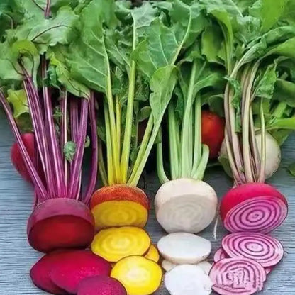 Rainbow Mix Beet Seeds