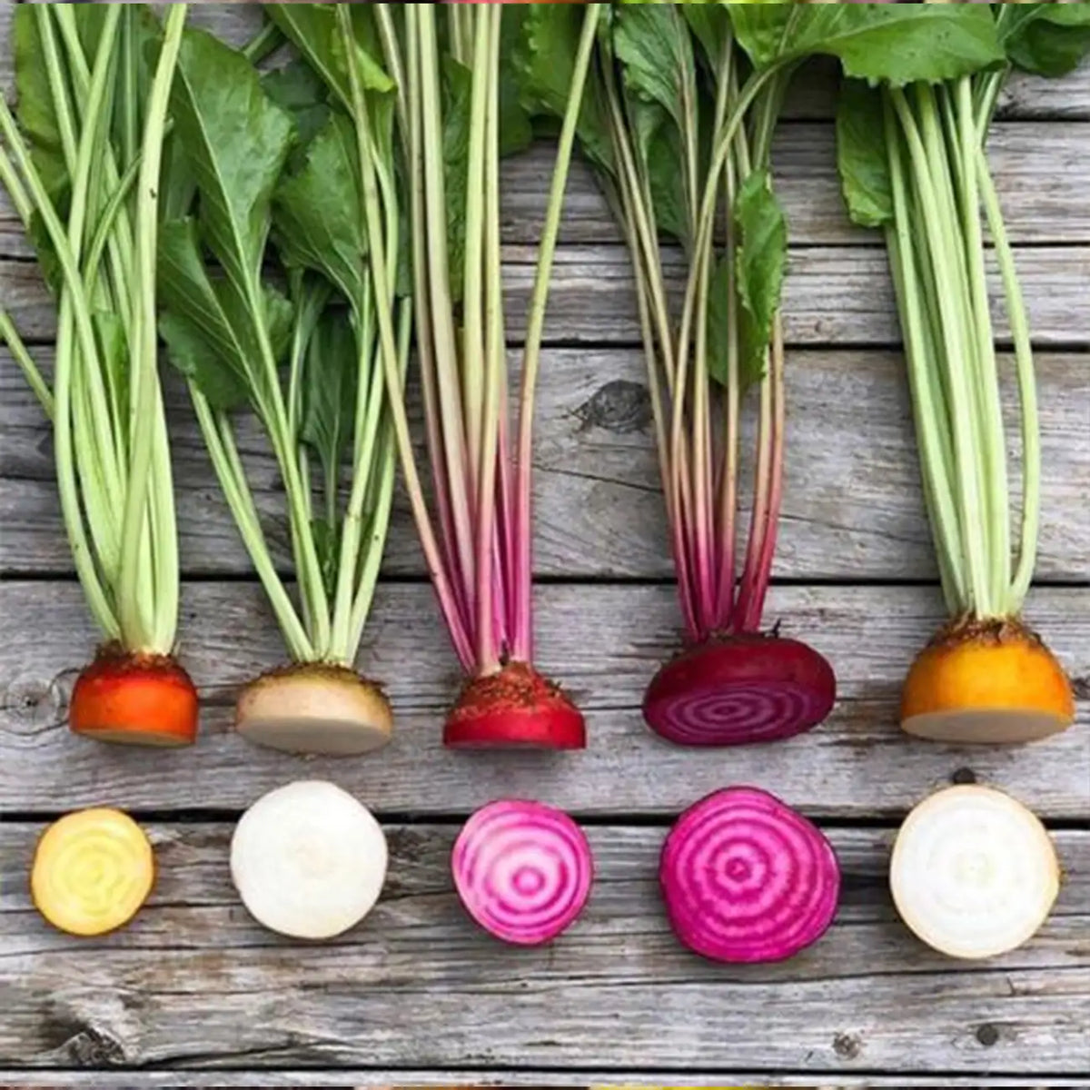 Rainbow Mix Beet Seeds
