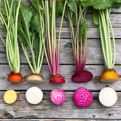 Rainbow Mix Beet Seeds