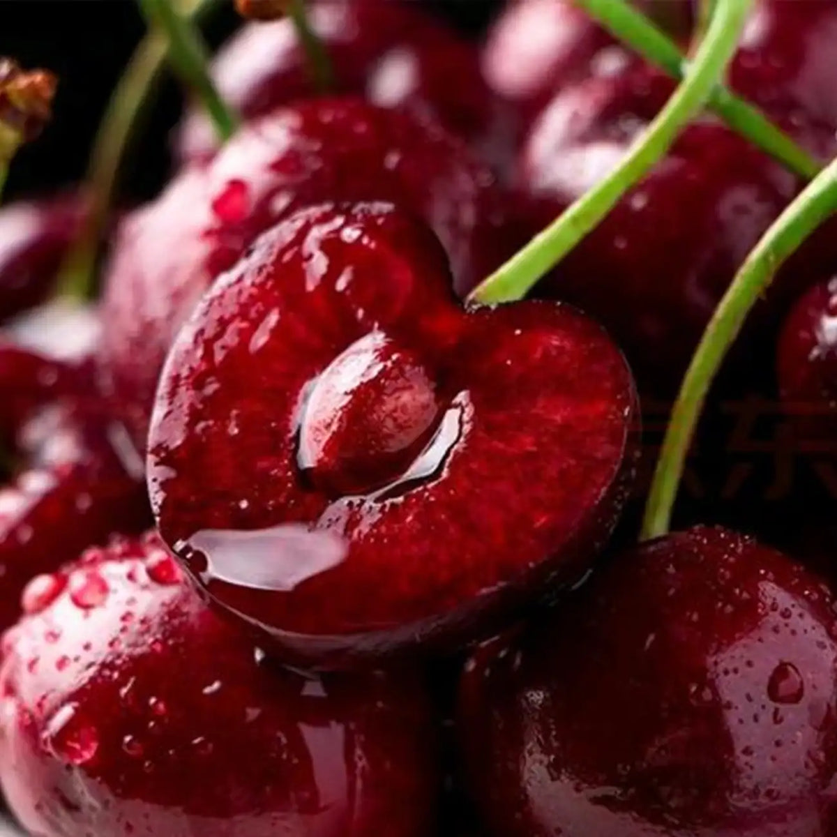 Rainier Cherry Fruit Seeds
